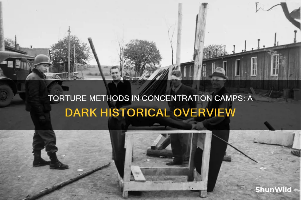 how were people tortured at concentration camps