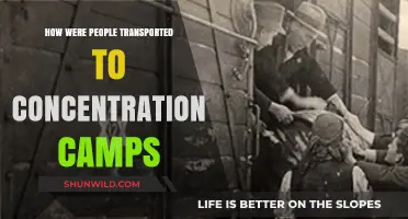 The Dark Journey: Transporting Victims to Concentration Camps