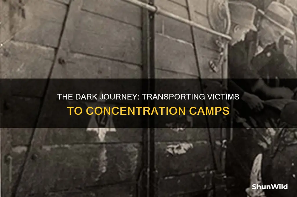 how were people transported to concentration camps