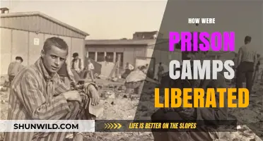 Liberating Prison Camps: Strategies, Heroes, and the Road to Freedom