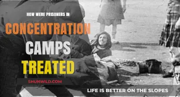 The Brutal Reality of Concentration Camp Prisoner Treatment