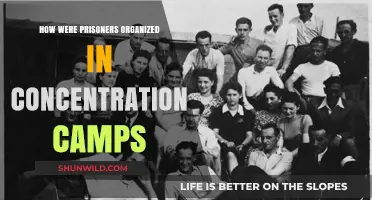 Organizing Horror: The Structure of Prisoner Life in Concentration Camps