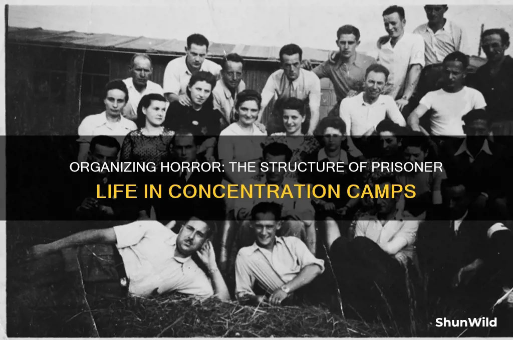 how were prisoners organized in concentration camps