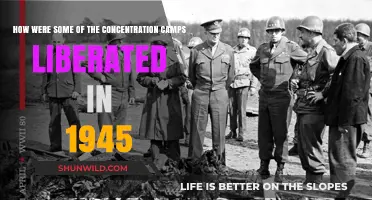 Liberation of Concentration Camps: The 1945 Allied Efforts Unveiled