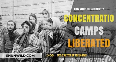 Liberation of Auschwitz: The End of Nazi Horror and Survival