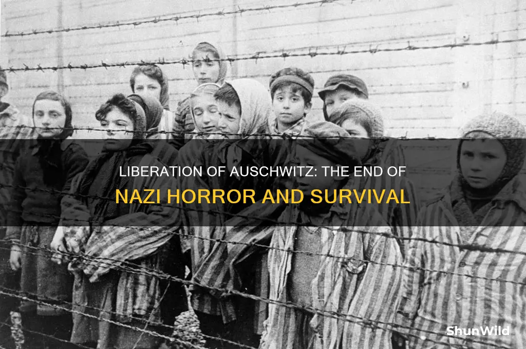 how were the auschwitz concentration camps liberated