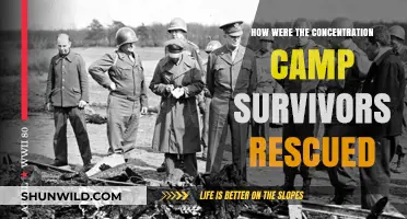 Liberation of Concentration Camp Survivors: The Rescue Efforts Explained