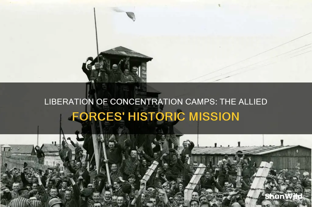 how were the concentration camps liberated