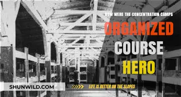 Organizing Horror: The Structure of Concentration Camps Explained