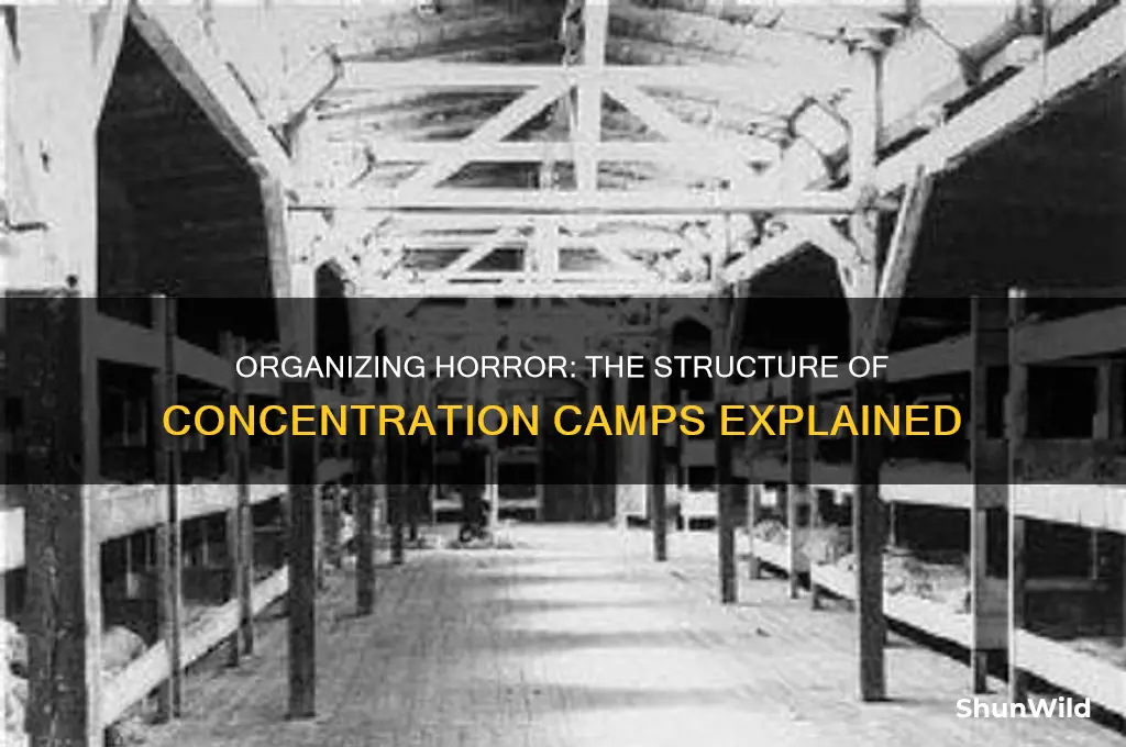 how were the concentration camps organized course hero
