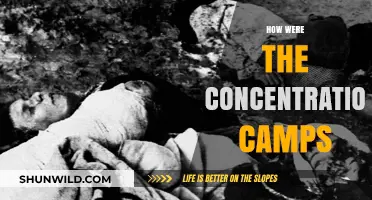 Inside the Horrors: Life and Death in Concentration Camps