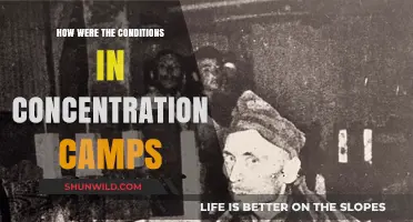 Life in Concentration Camps: Brutality, Survival, and Human Resilience