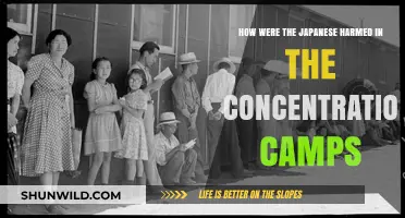 Japanese Americans' Suffering: The Devastating Impact of Concentration Camps