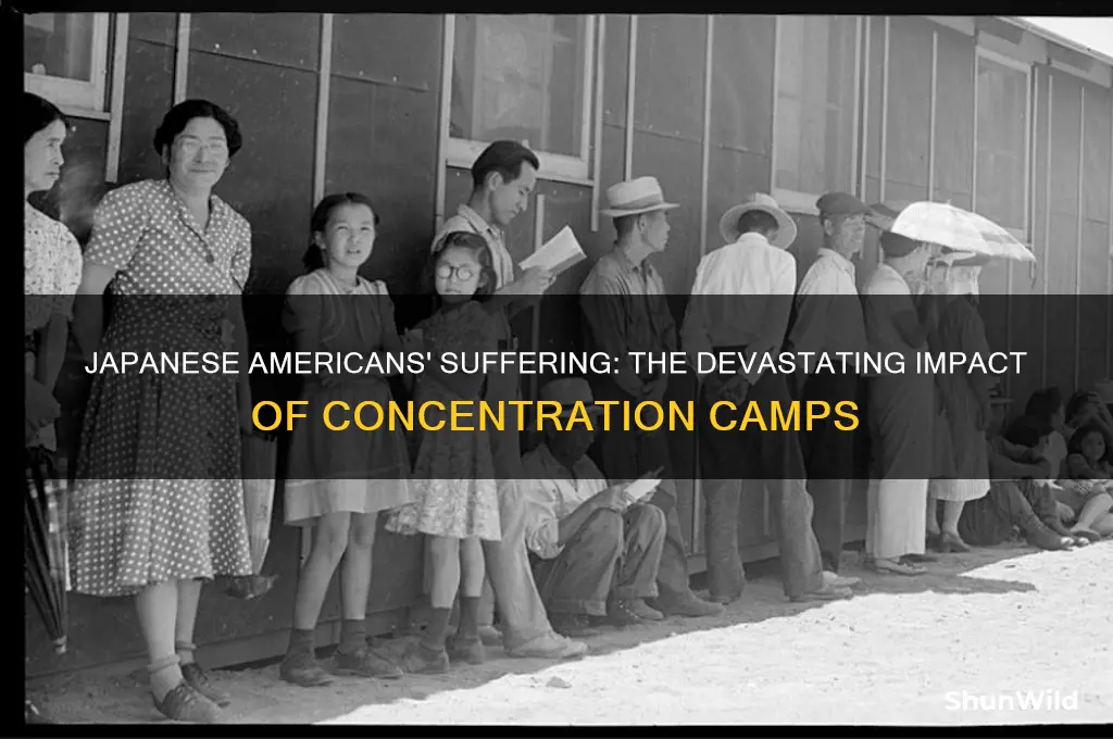 how were the japanese harmed in the concentration camps