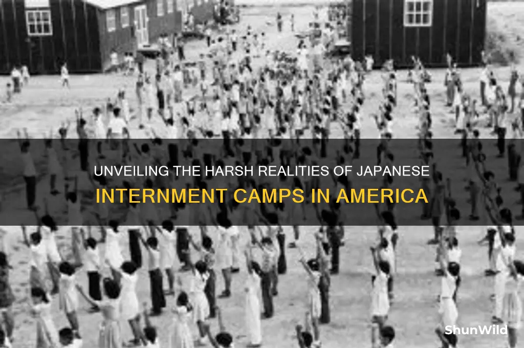 how were the japanese treated in the concentration camps