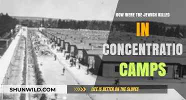 The Systematic Extermination of Jews in Nazi Concentration Camps