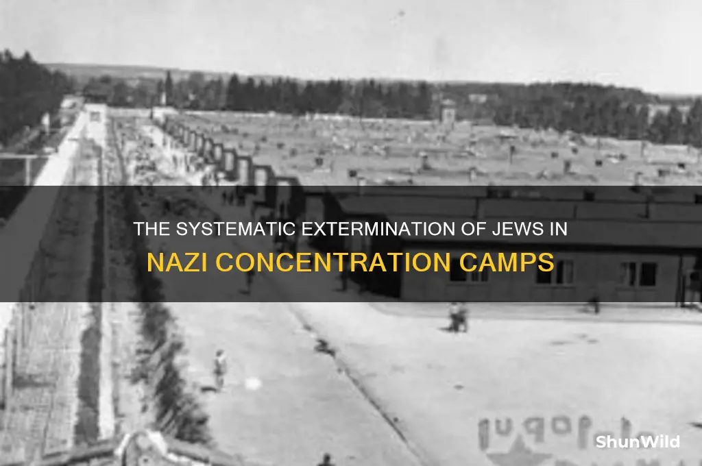 how were the jewish killed in concentration camps