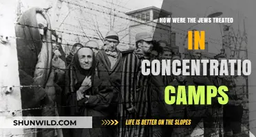 The Horrors of Concentration Camps: Jewish Suffering and Survival