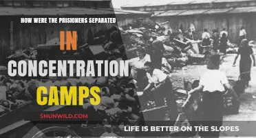 Categorization of Terror: Prisoner Separation in Concentration Camps Explained