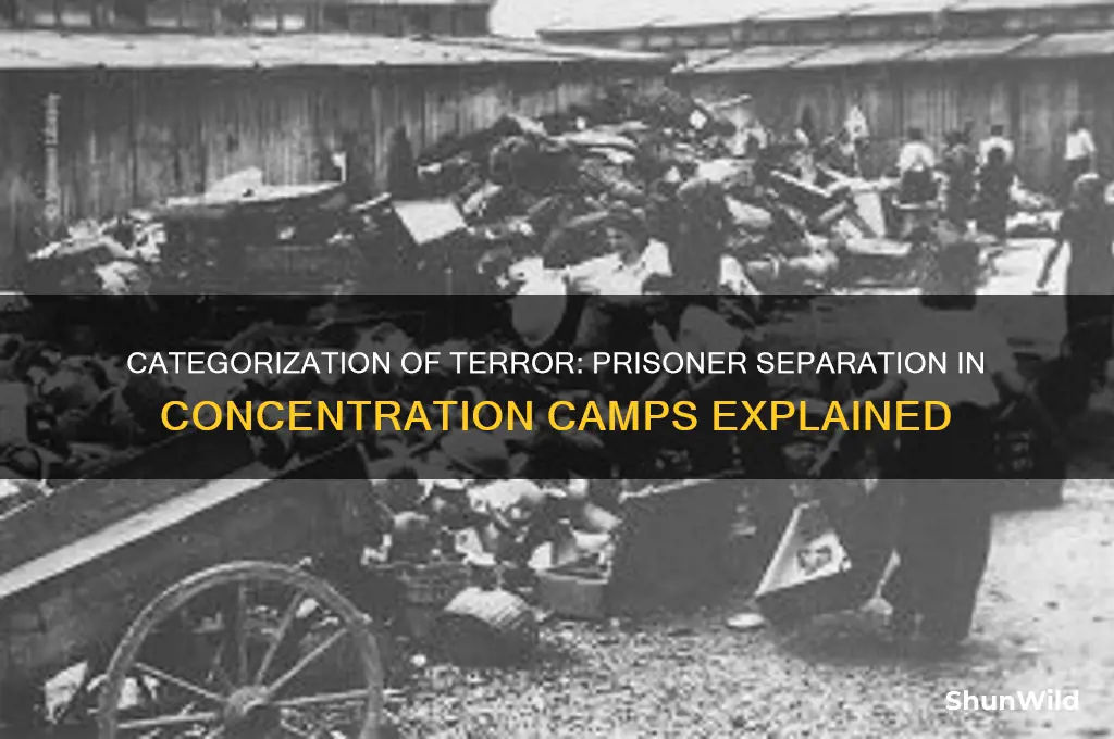 how were the prisioners separated in concentration camps