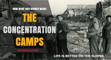 Inside the Camps: Understanding the Division of Prisoners in Concentration Camps
