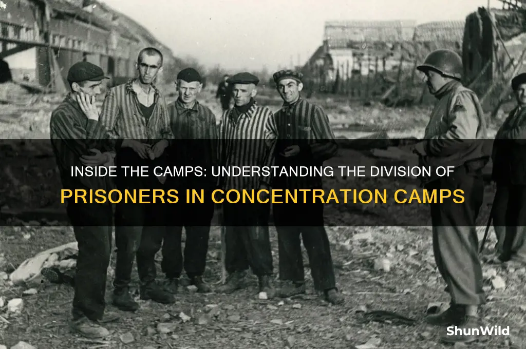 how were they divided inside the concentration camps