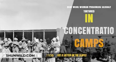 Sexual Torture of Women in Concentration Camps: A Dark History