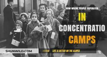 Separation Tactics: How Nazis Divided Families in Concentration Camps