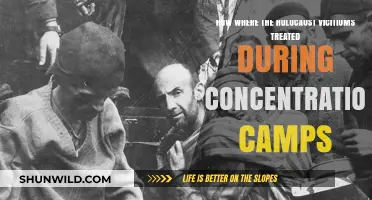 Holocaust Victims' Treatment in Concentration Camps: A Brutal Reality