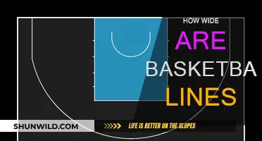 Basketball Court Lines: Understanding Their Width and Purpose