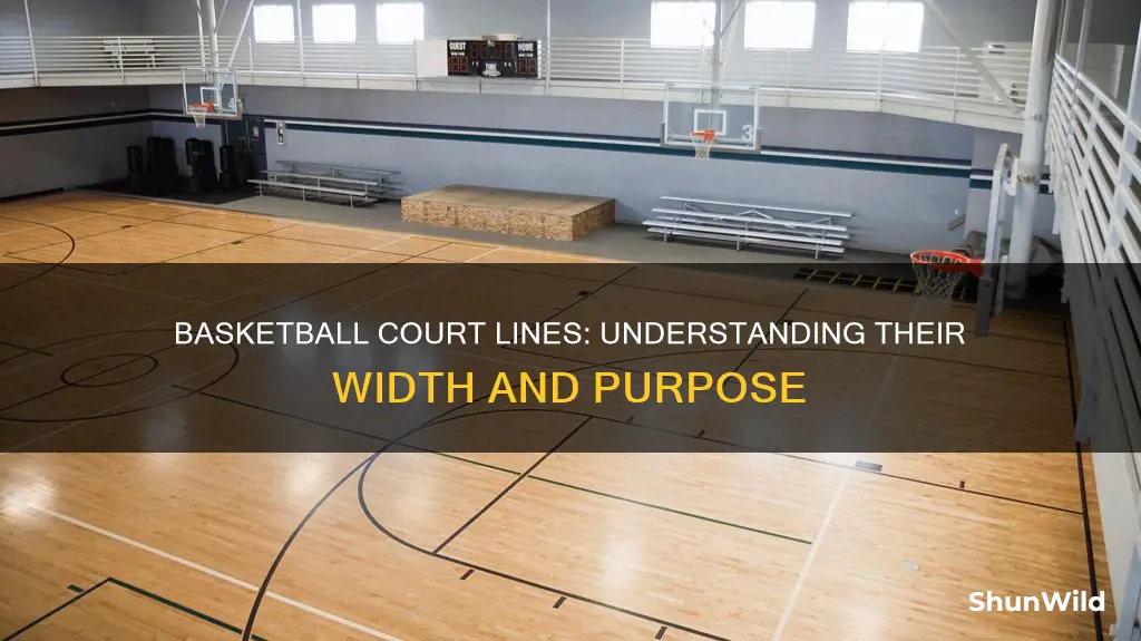 how wide are basketball lines