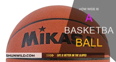 The Width of a Basketball: Standard Measurements