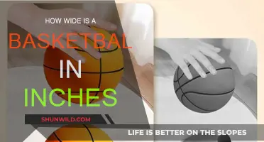 Basketball Diameter: Inches and Insights