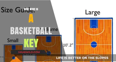 The Basketball Key: Understanding the Width and More