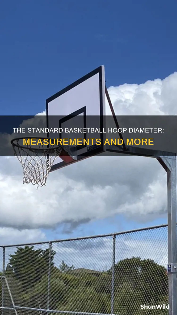 how wide is a basketball ring