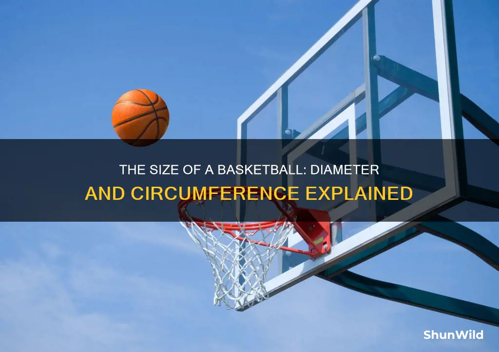 how wide is a basketball