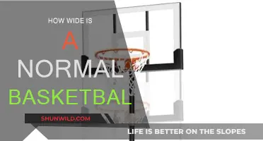 The Standard Basketball Size: Diameter and Circumference