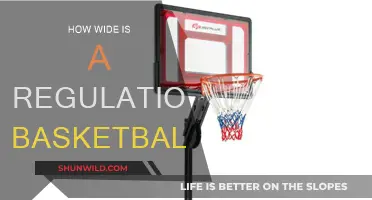 The Standard Basketball Size: Diameter and Circumference