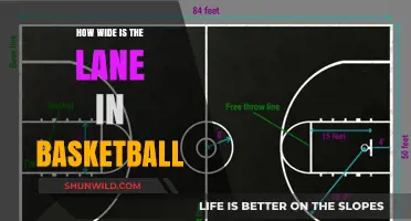 Lane Width in Basketball: How Wide is it?