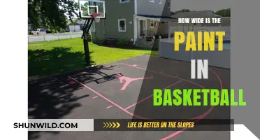 The Paint's Width: A Basketball Guide