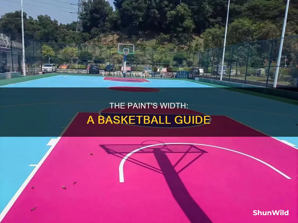 how wide is the paint in basketball