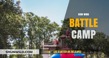Mastering Battle Camp: Strategies to Secure Victory and Dominate the Game