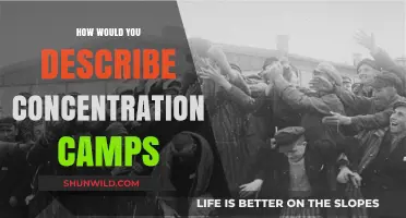 Unveiling the Horrors: Understanding the Reality of Concentration Camps