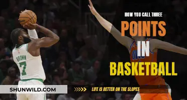 The Art of the Three-Point Shot: Strategies and Mastery