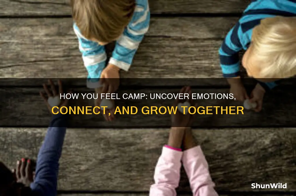 how you feel camp