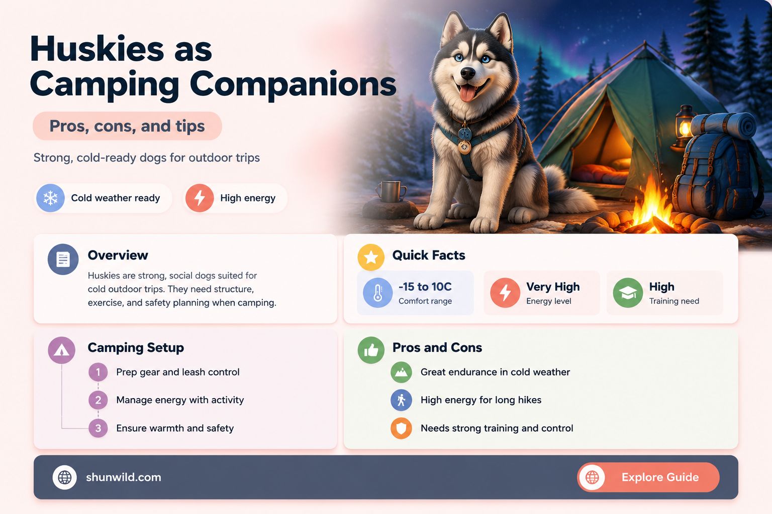are huskies good camping dogs