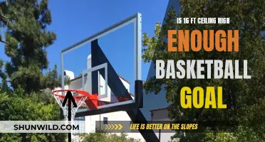 Ceiling Height for Basketball Goals: Is 16 Feet Enough?