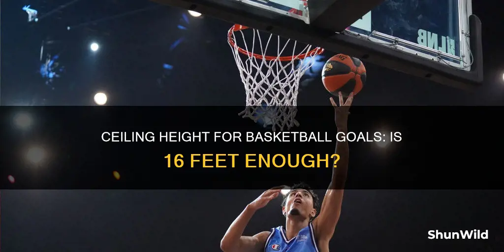 is 16 ft ceiling high enough basketball goal
