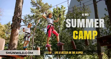 Exploring the Ultimate Adventure: Is 183 Summer Camp Right for You?