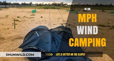 Camping in 20 MPH Winds: Tips for a Safe Outdoor Adventure